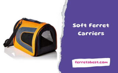 Soft Ferret Carriers