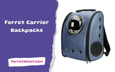 Ferret Carrier Backpacks