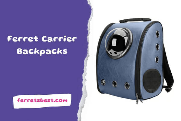 Ferret Carrier Backpacks