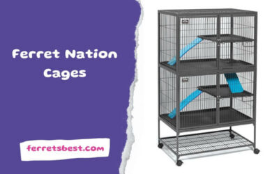Ferret Nation Cages