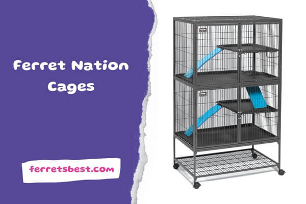 Ferret Nation Cages