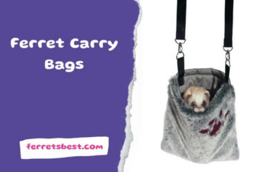 Ferret Carry Bags
