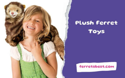 Plush Ferret Toys