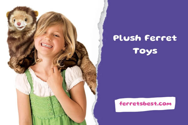 Plush Ferret Toys