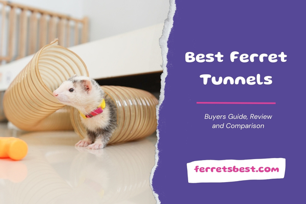 Best Ferret Tunnels
